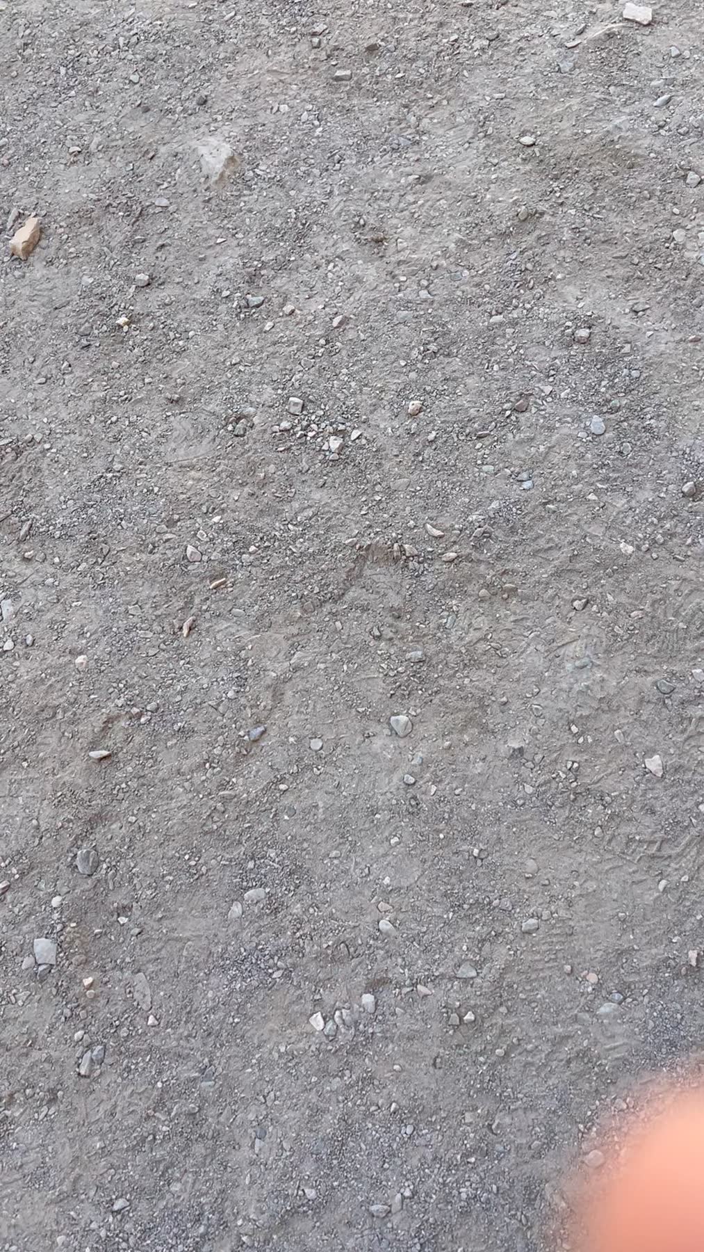 Death Valley