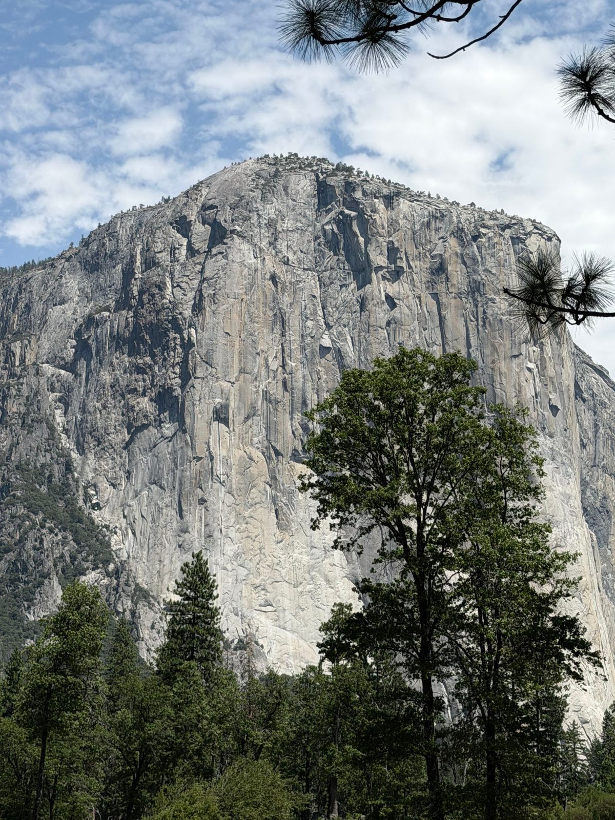 El Capitan Village