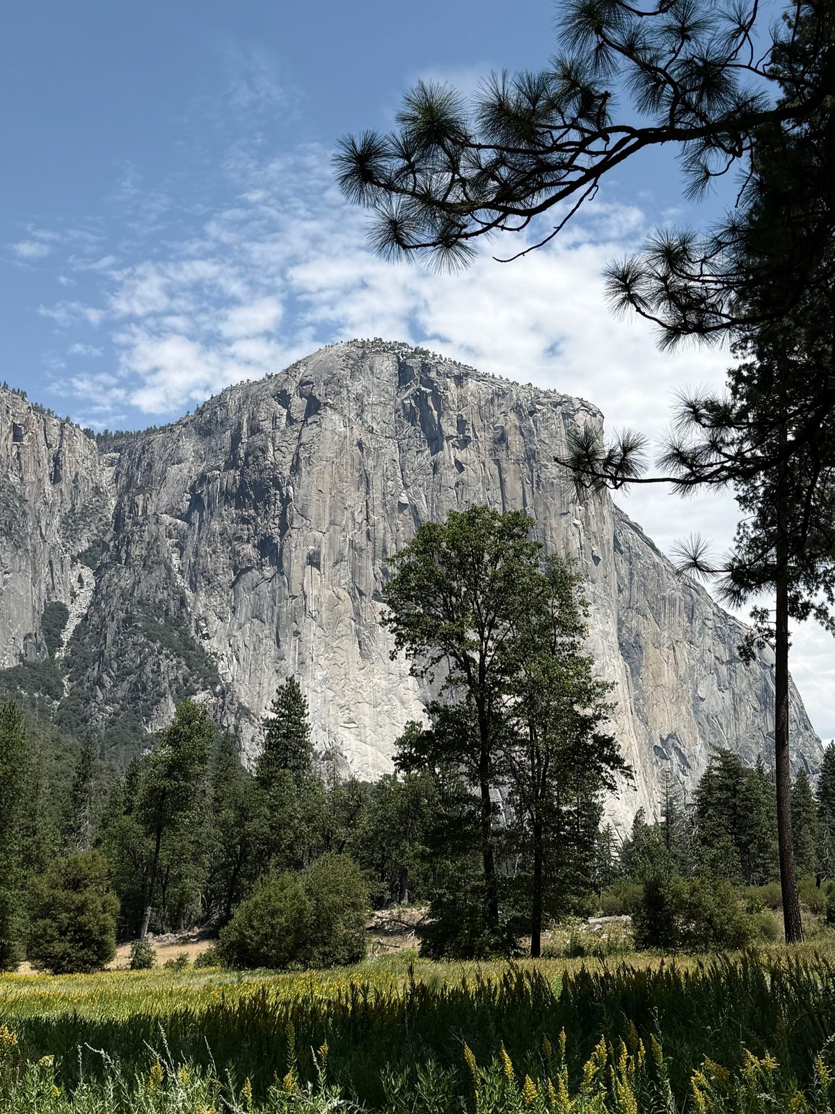 El Capitan Village