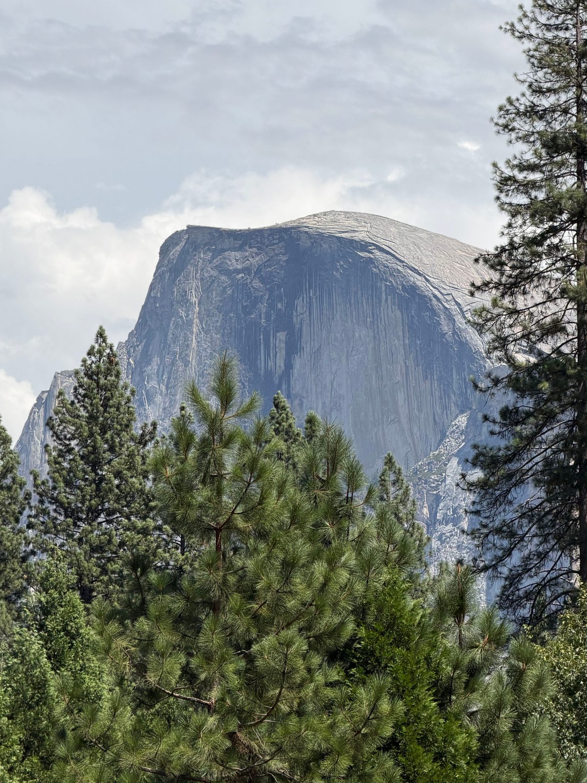 El Capitan Village