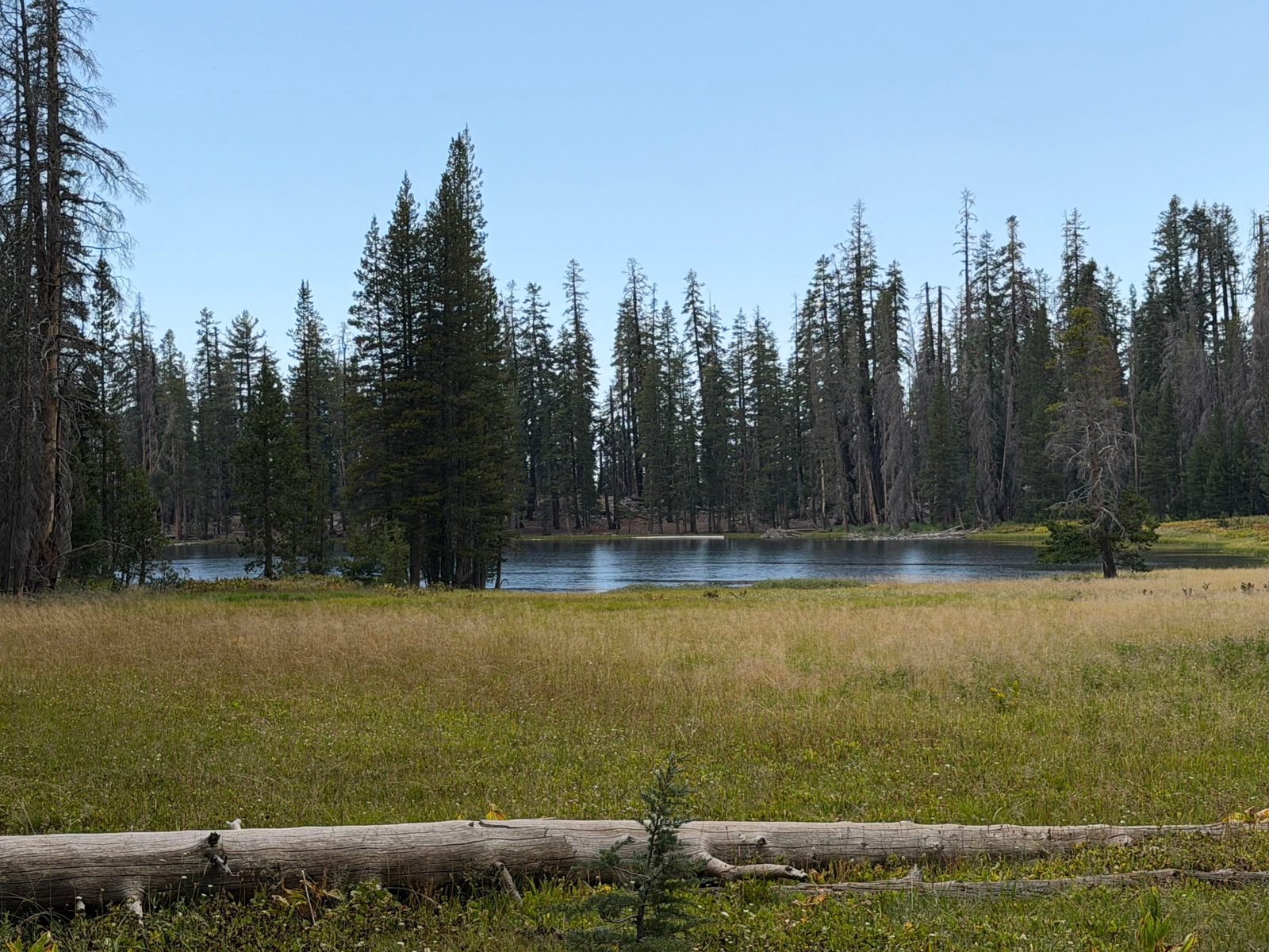 Lukens Lake