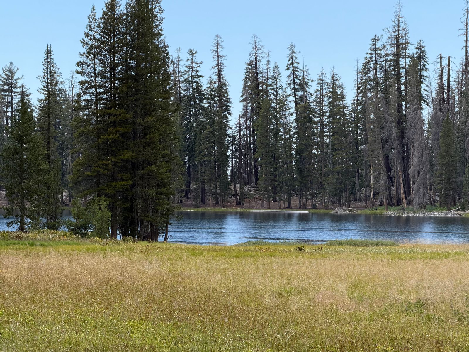 Lukens Lake