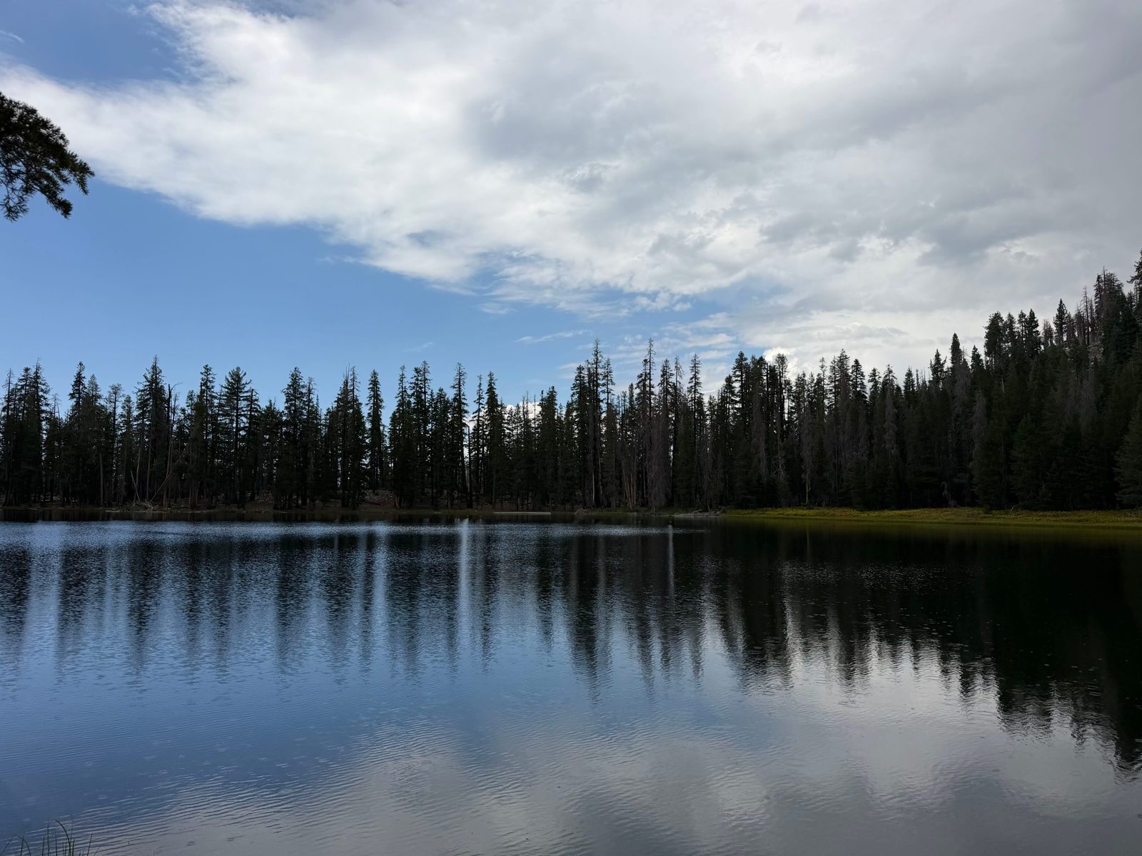 Lukens Lake