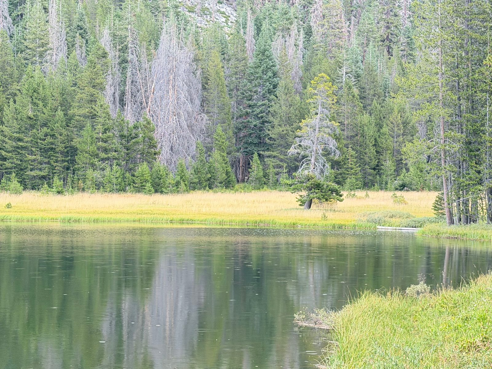 Lukens Lake