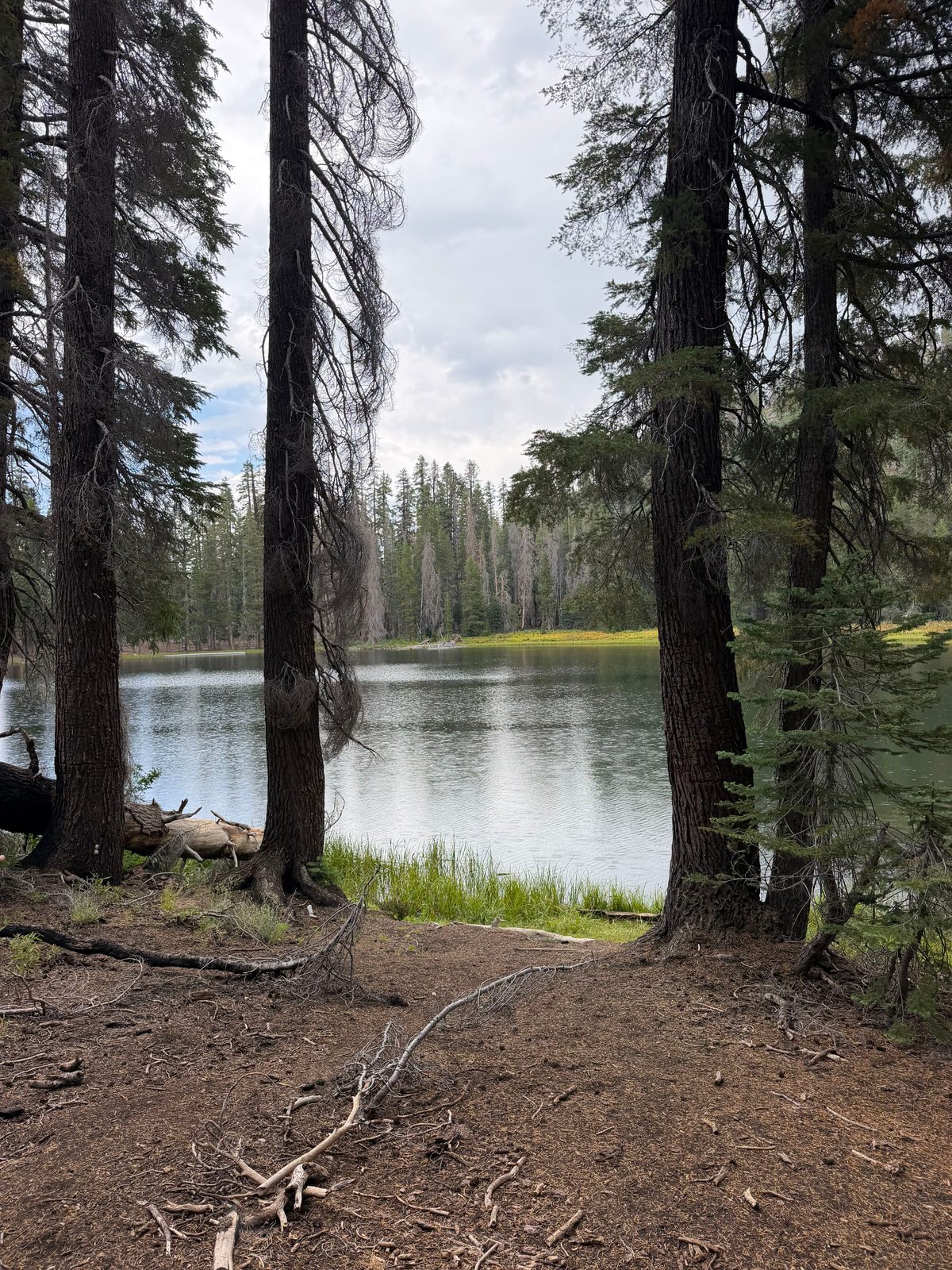 Lukens Lake