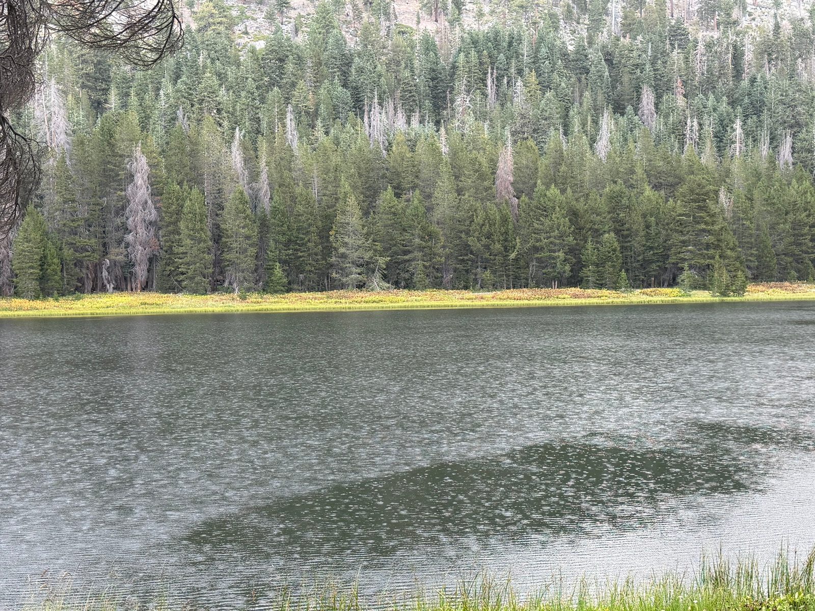 Lukens Lake