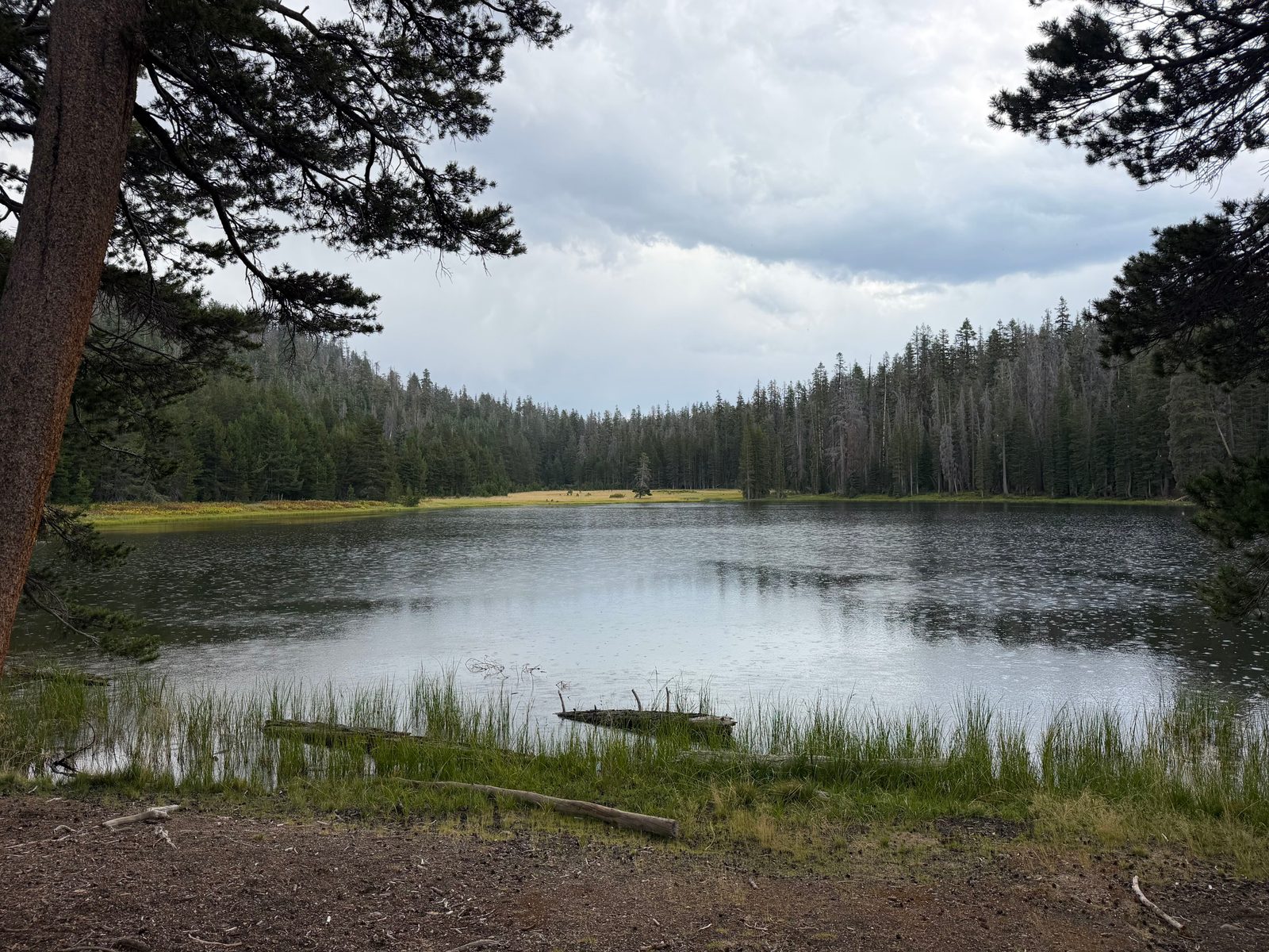 Lukens Lake