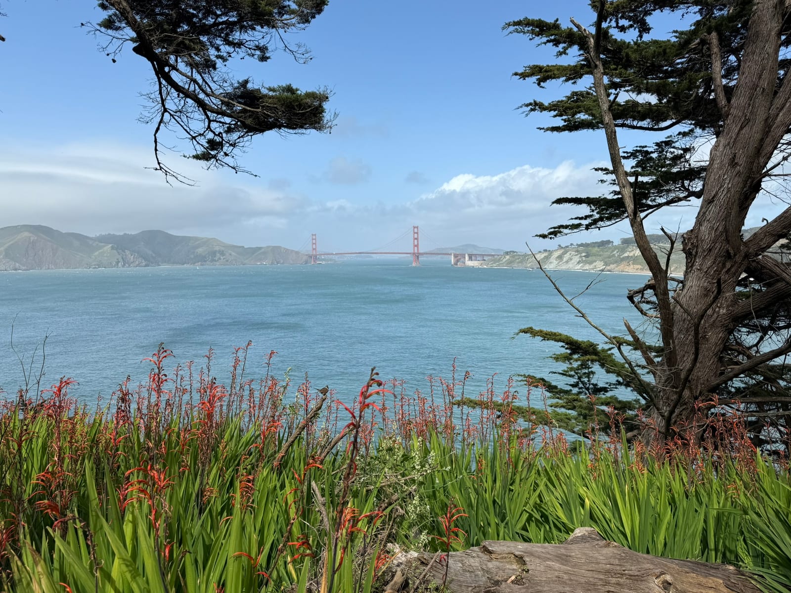 Marin Headlands & Mt Tamalpais