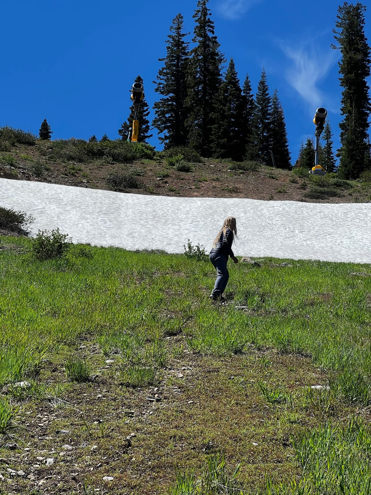 Northstar