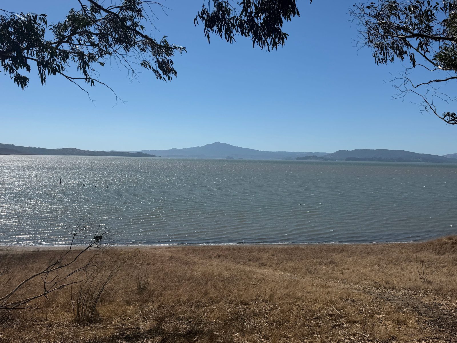 Point Pinole Regional Shoreline