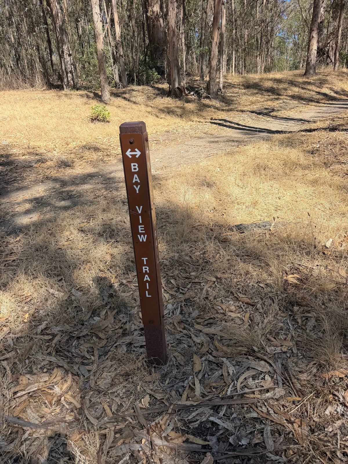 Point Pinole Regional Shoreline