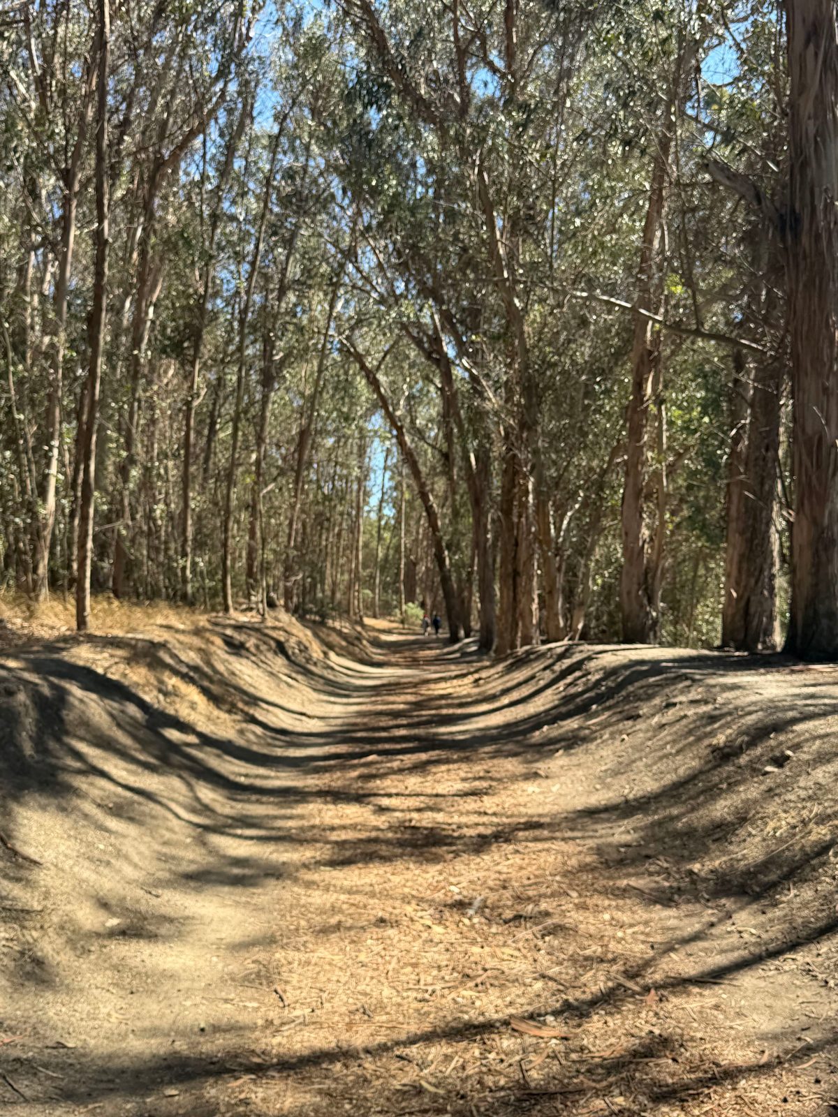 Point Pinole Regional Shoreline