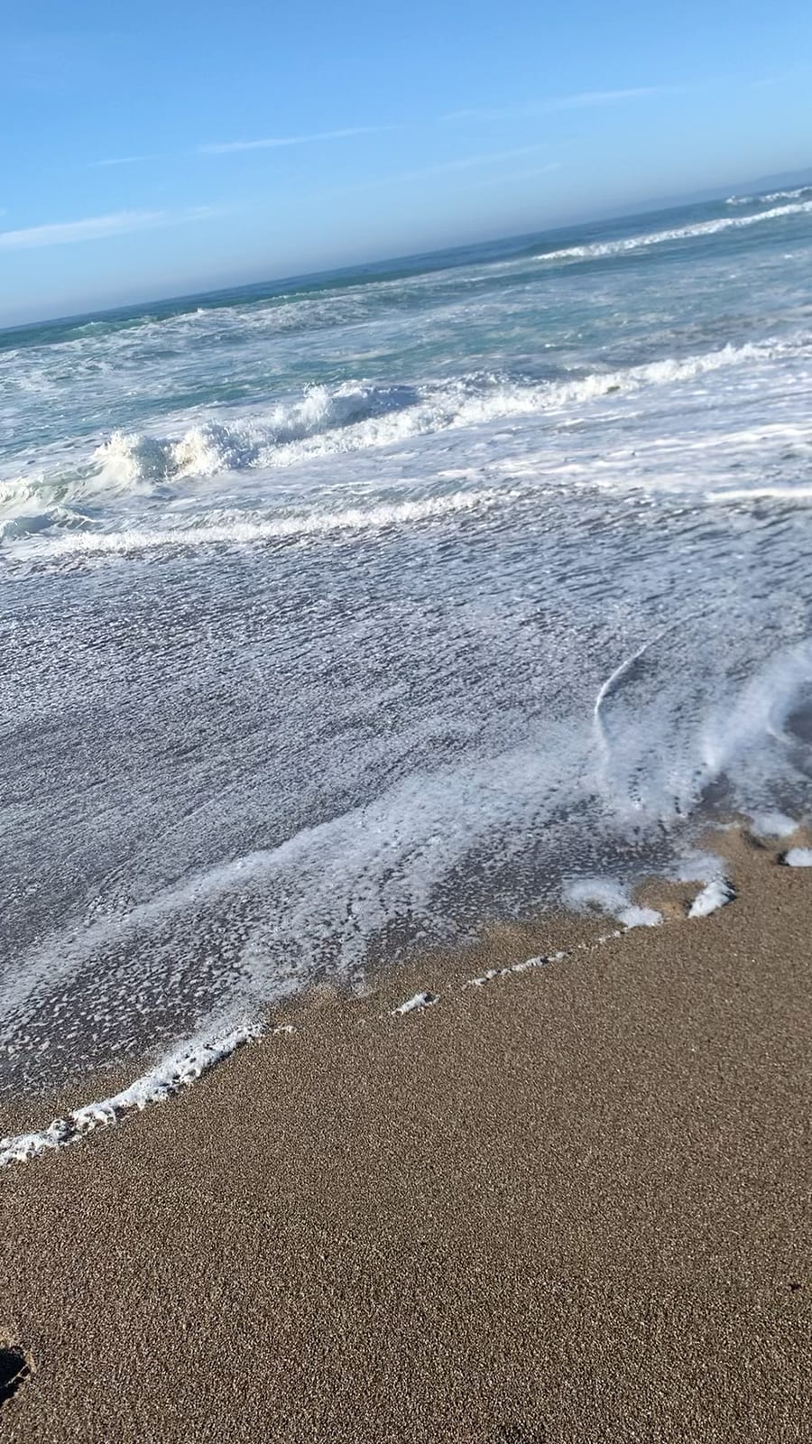 Point Reyes Beaches with Dante