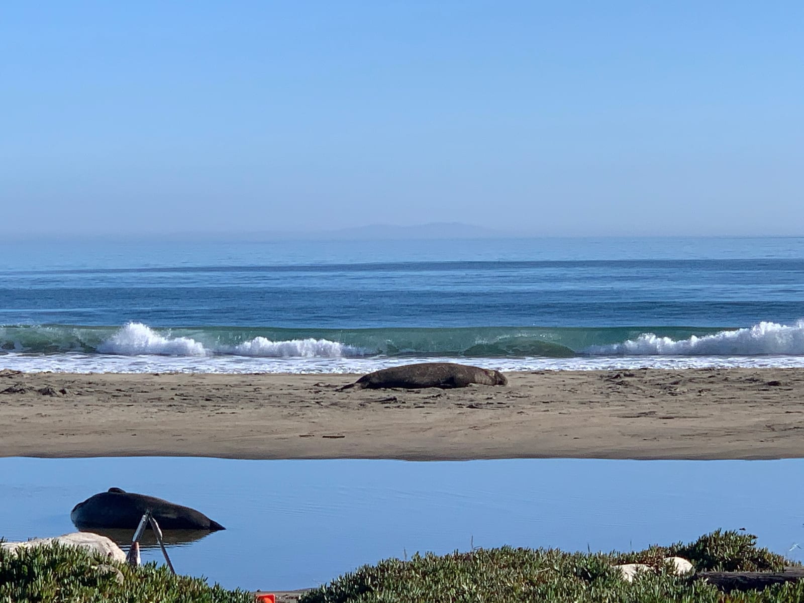 Point Reyes Beaches with Dante