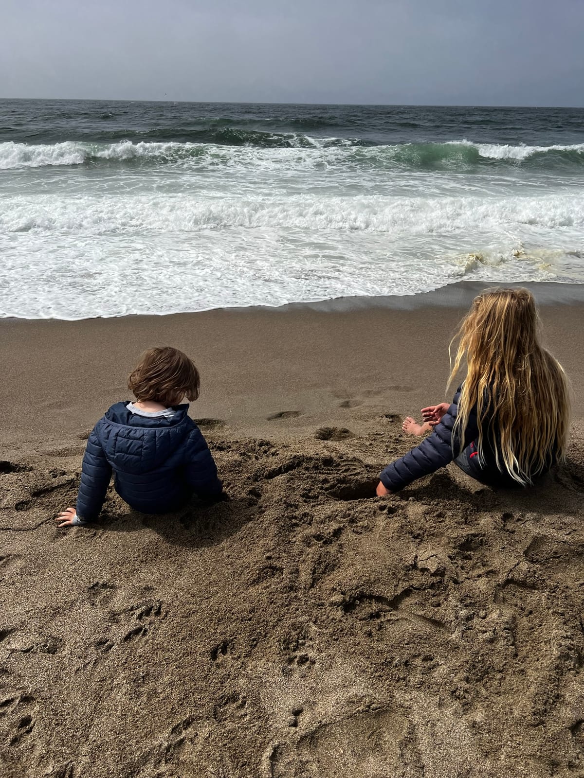 Point Reyes Beaches with Dante