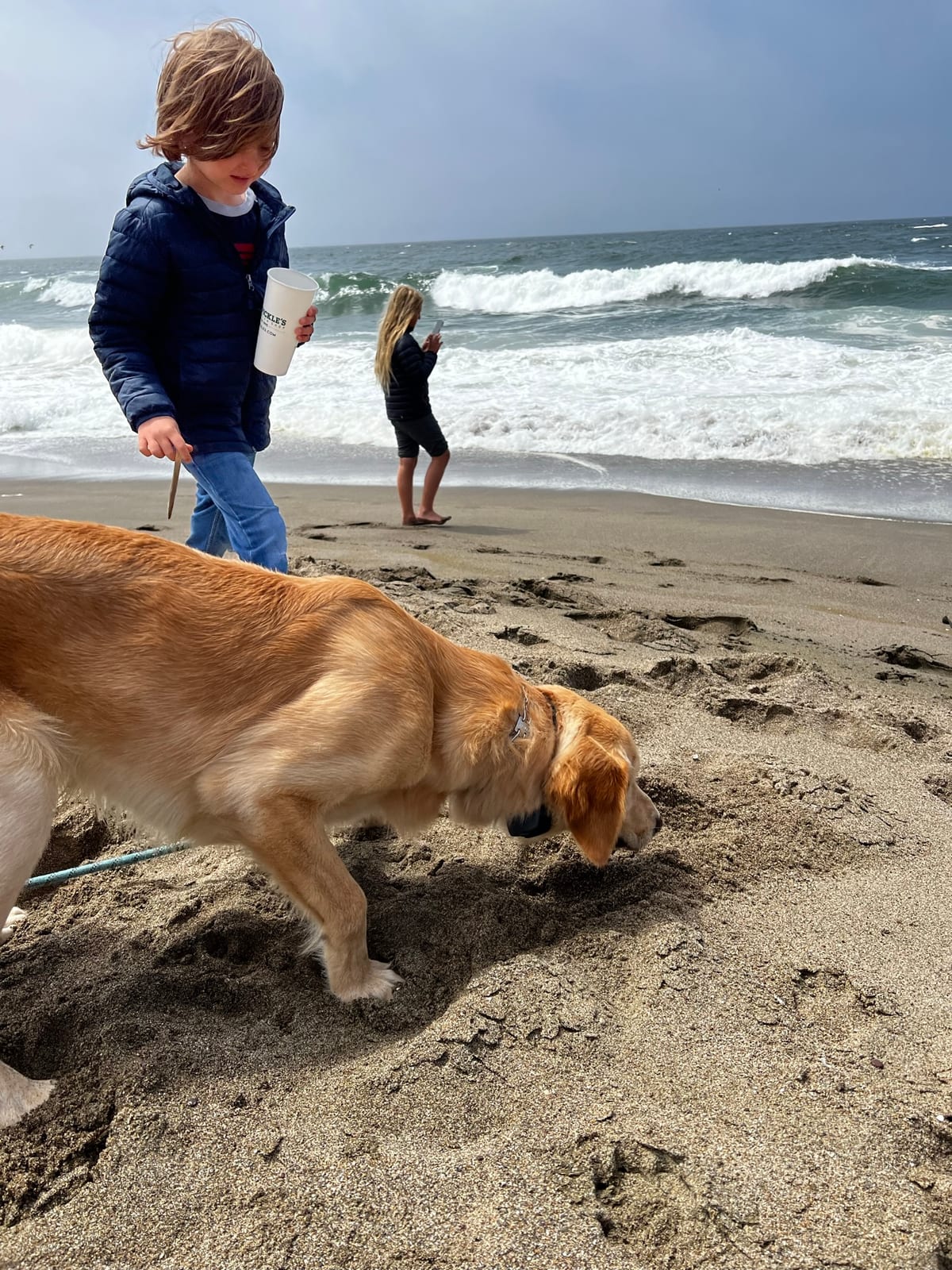 Point Reyes Beaches with Dante