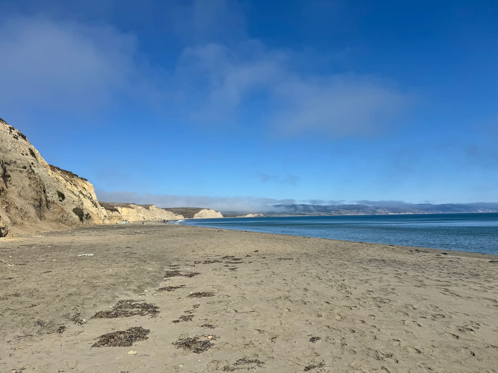 Point Reyes Beaches with Dante