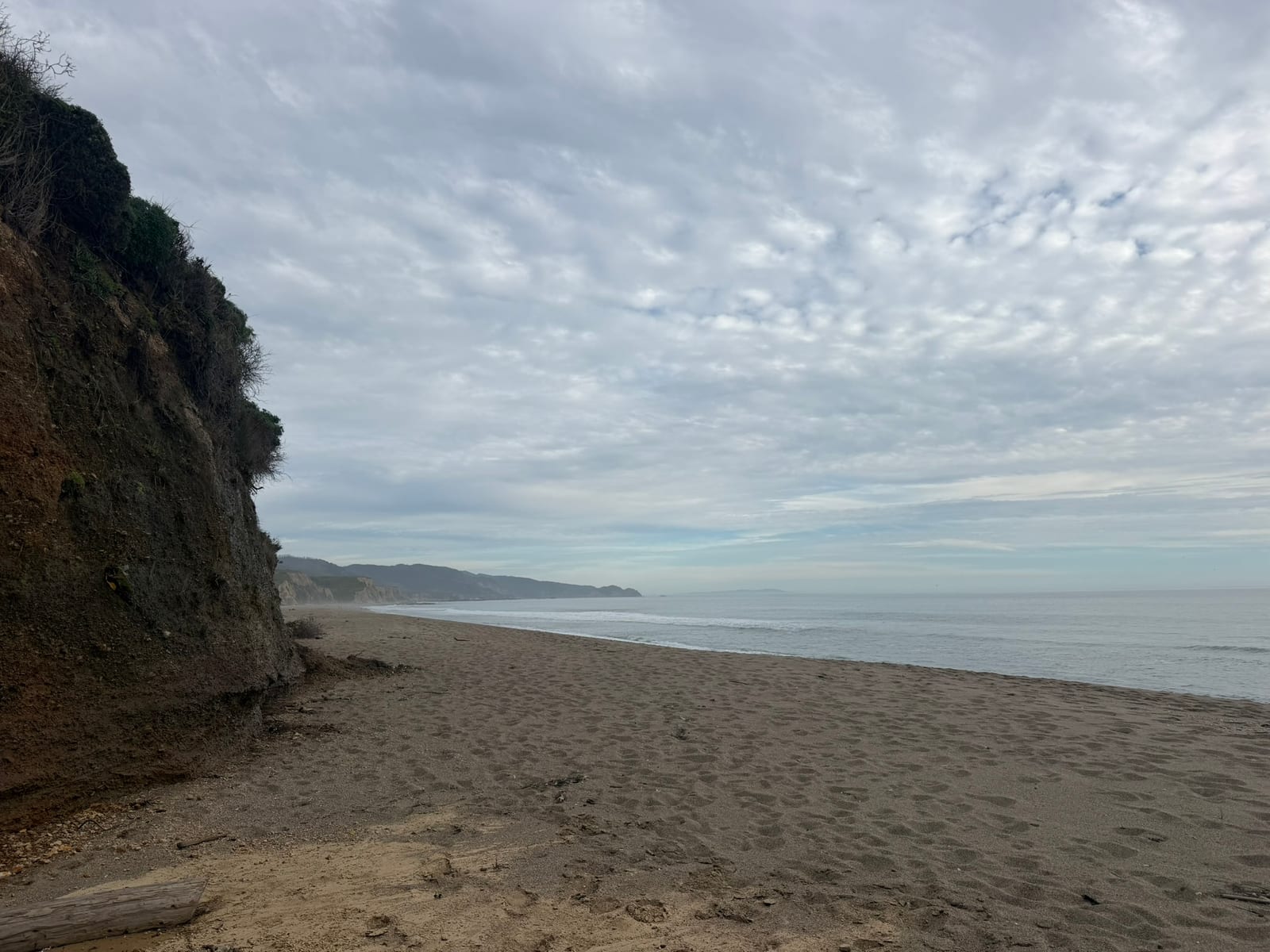 Point Reyes Beaches with Dante