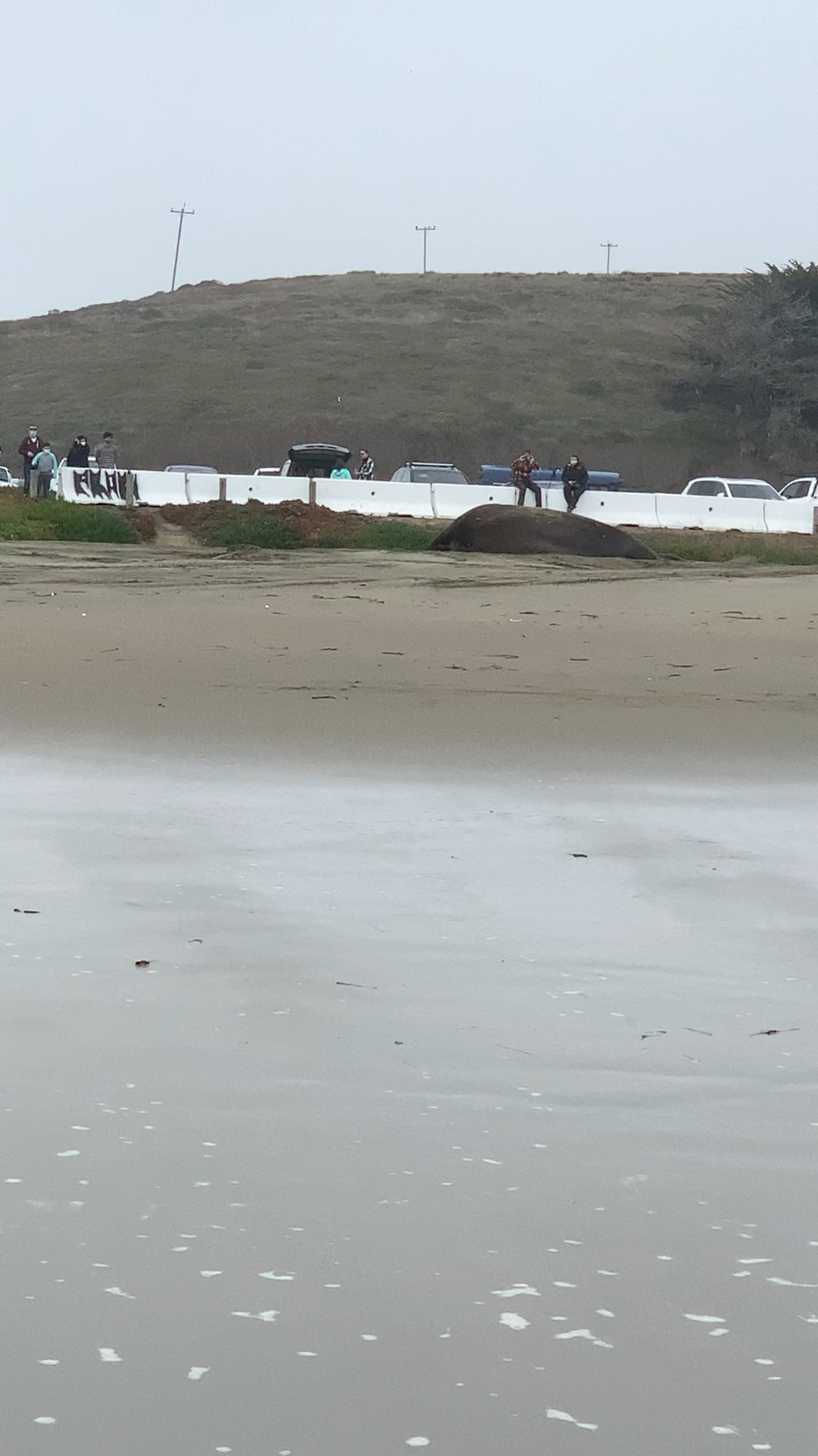 Point Reyes Beaches with Dante