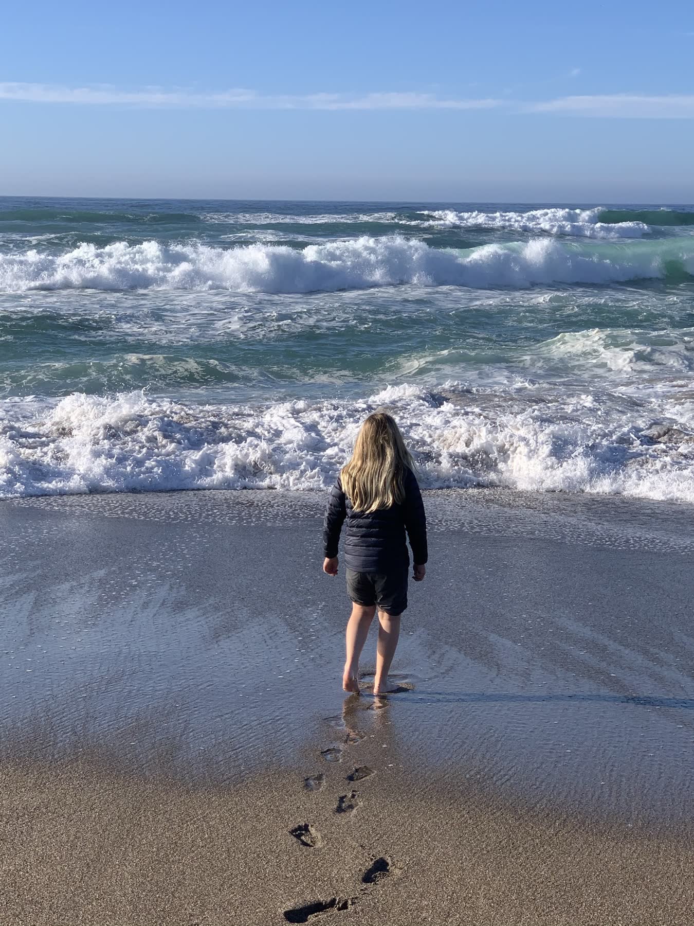 Point Reyes Beaches with Dante