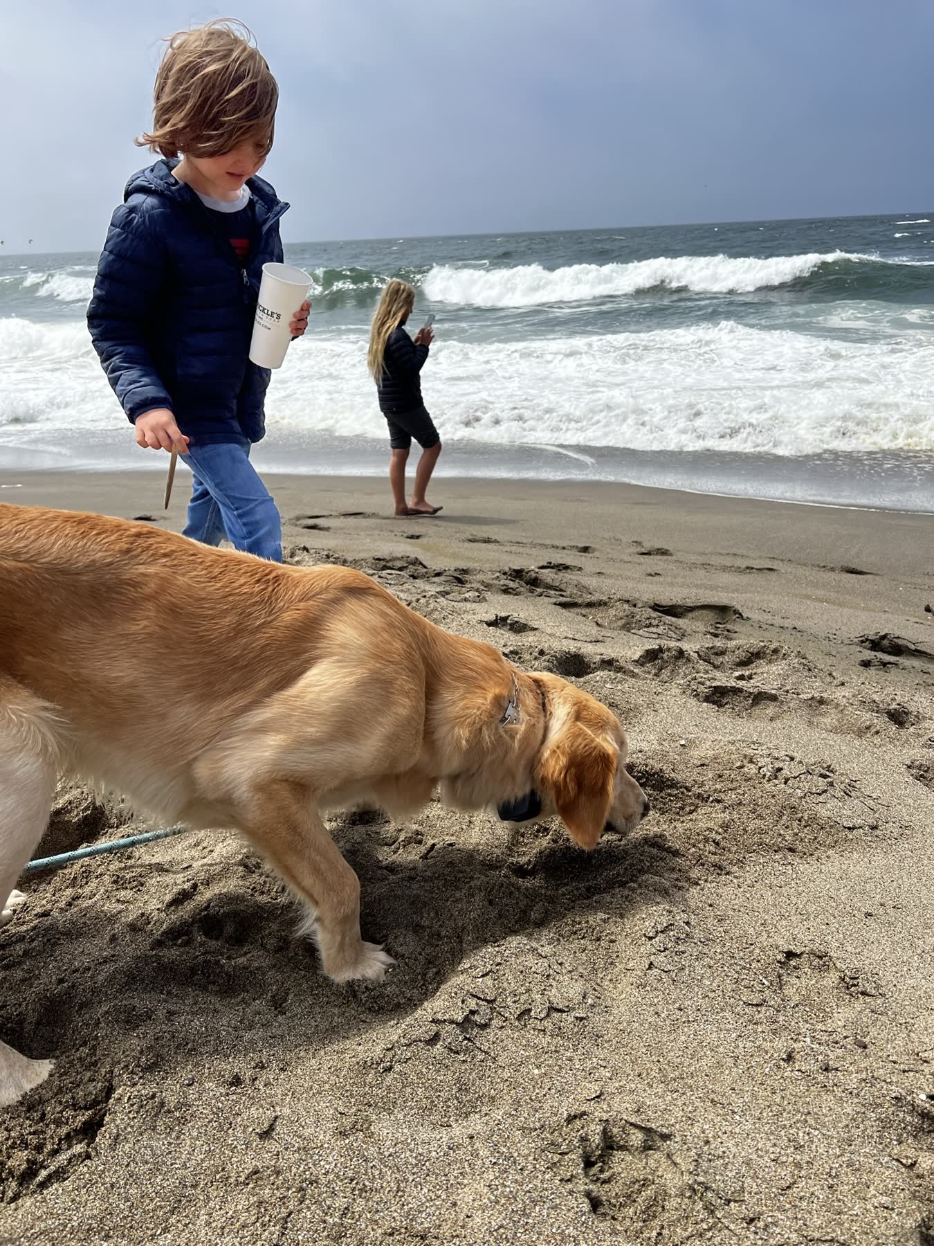 Point Reyes Beaches with Dante