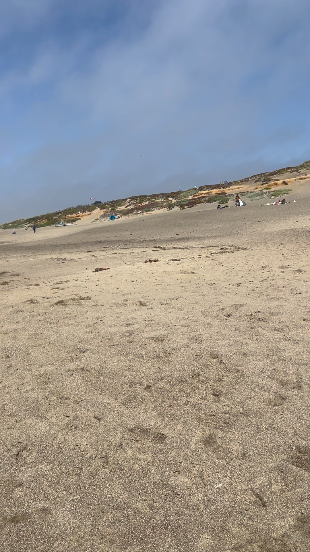 Point Reyes Beaches with Dante