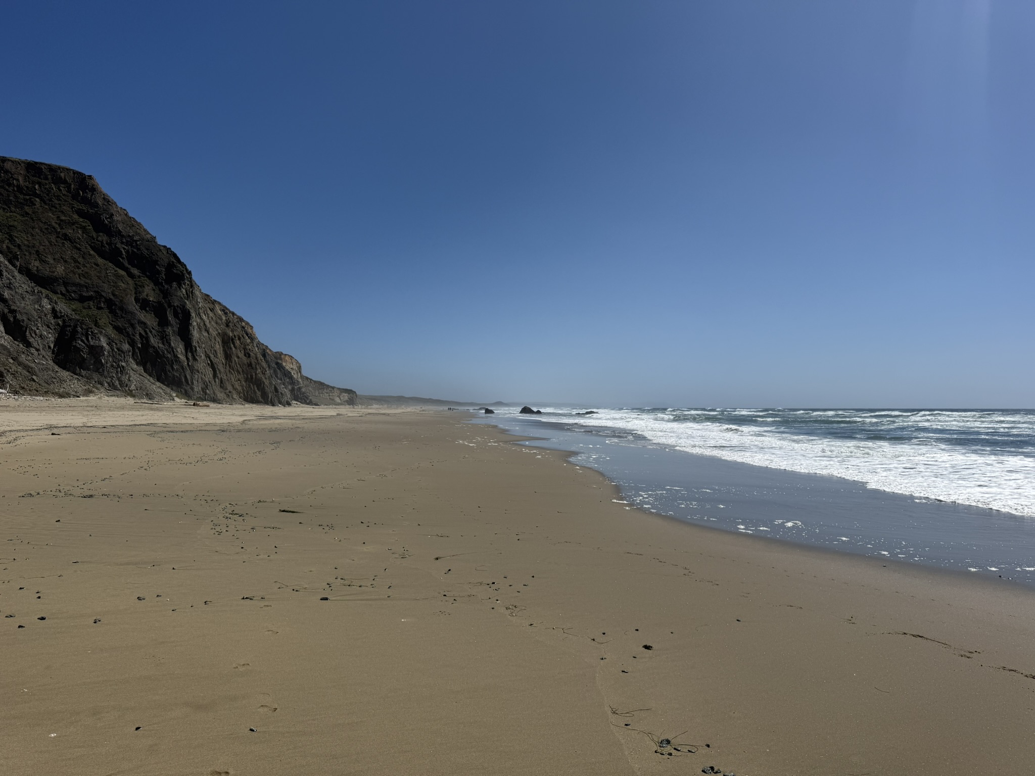 Point Reyes Beaches with Dante