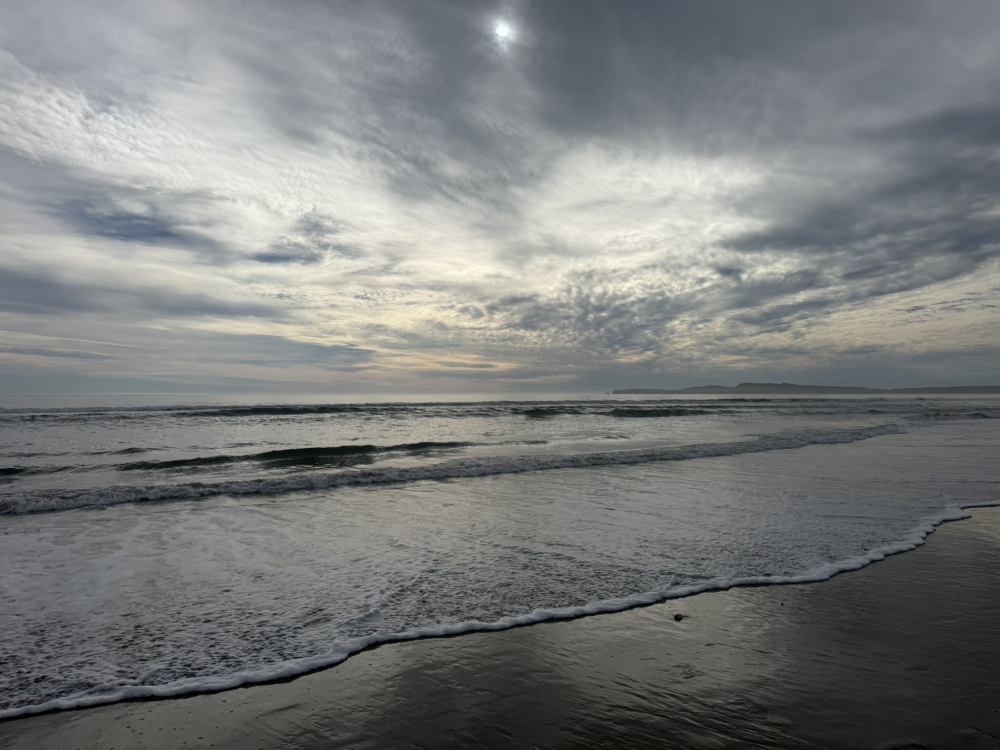 Point Reyes Beaches with Dante