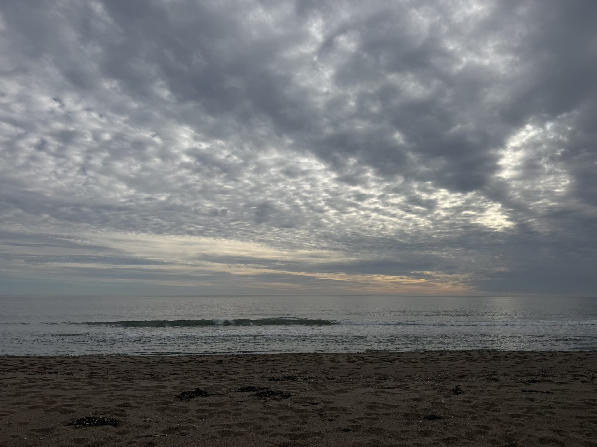 Point Reyes Beaches with Dante
