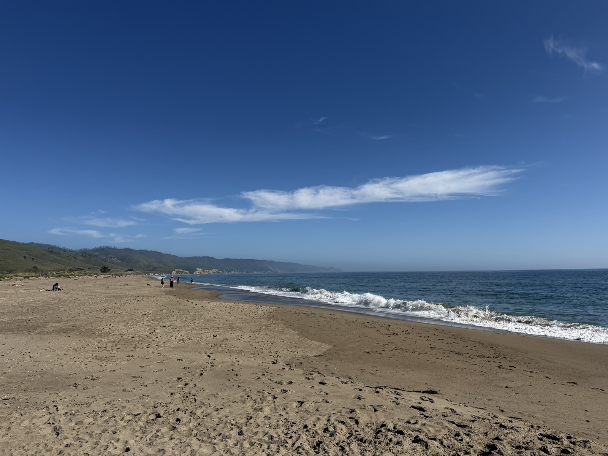 Point Reyes Beaches with Dante