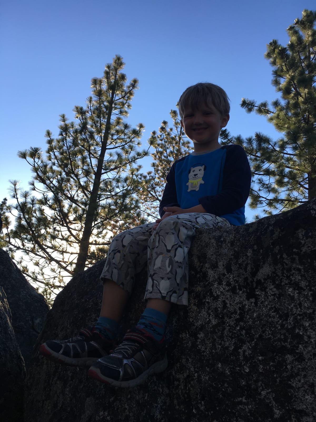 Fallen Leaf Lake Car Camp